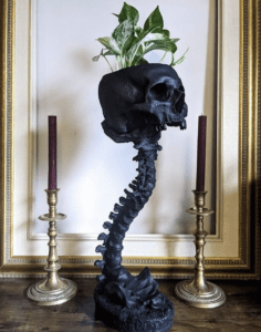 Skull planter